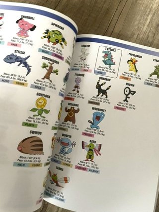 Libro Guía Visual Mundo Pokémon