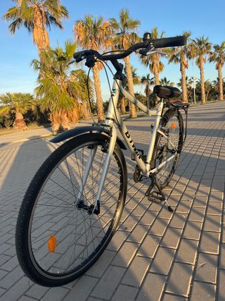 Bicicleta Todocamino Riverside 120