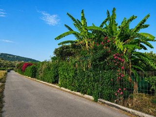 Terreno en venta en Alquería de la Condesa/Alqueria de la Comtessa (l´