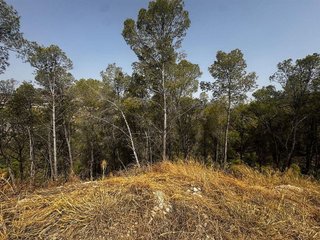 Terreno en venta en Callosa d´En Sarrià