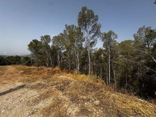Terreno en venta en Callosa d´En Sarrià