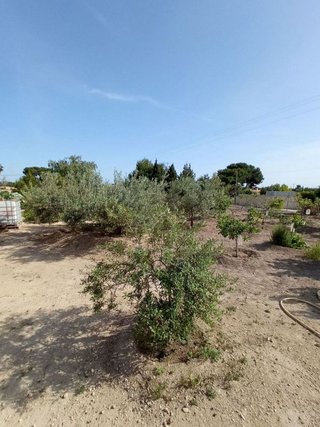 Terreno en venta en La Huerta en Mutxamel/Muchamiel