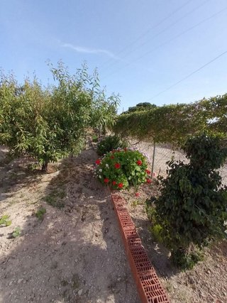Terreno en venta en La Huerta en Mutxamel/Muchamiel