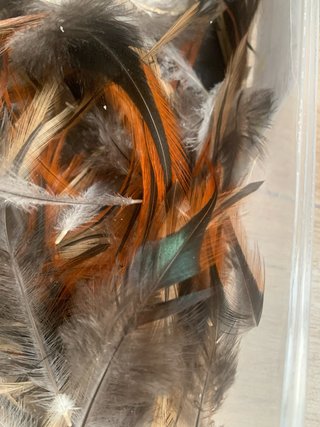 80 Plumas Decorativas Variadas