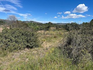 Solar en venta en Alcora, l´