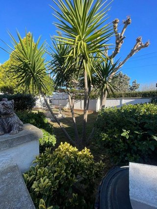 Chalet en venta en Roquetes