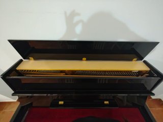 Piano de pared Otto Bach negro