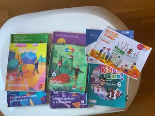 10 libros 6 primaria Doroteas Pontevedra, 10 o 20€