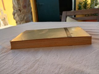 Libro de buen amor, Arcipreste de Hita, Austral