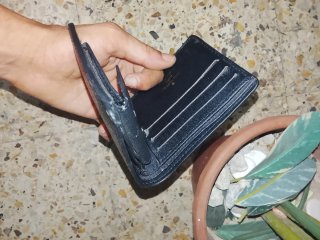 Cartera Louis Vuitton Paris Azul