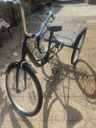 Bicicleta Triciclo con Cesta