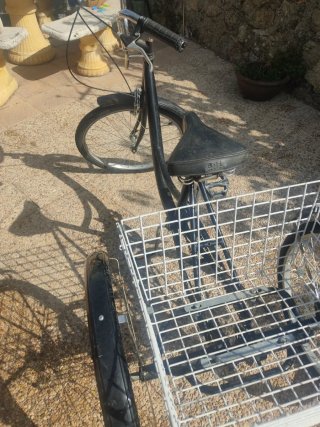 Bicicleta Triciclo con Cesta