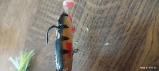 Crankbaits / Minnows y Lures de Pesca