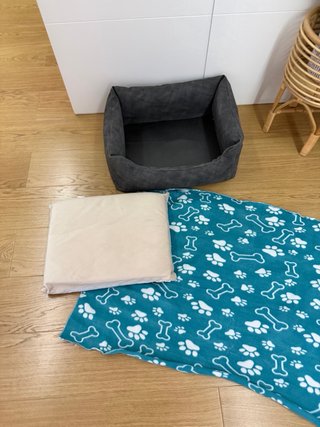 Cama y manta para perro