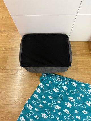 Cama y manta para perro