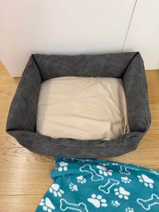 Cama y manta para perro