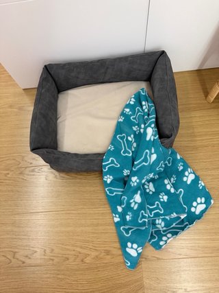 Cama y manta para perro