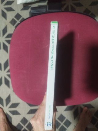 Lingua galega e literatura 1º Bach. LOMLOE