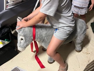 Burro de peluche gris