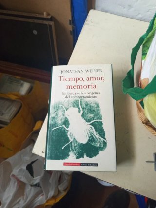 Tiempo, Amor, Memoria En Busca de los Orígenes ...
