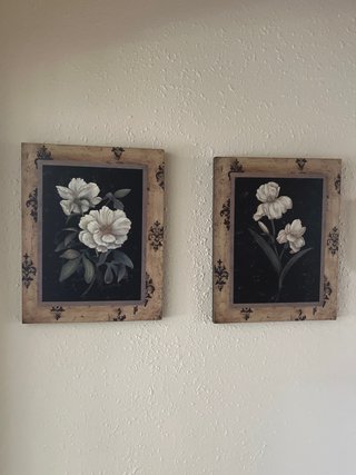 Pareja de cuadros decorativos