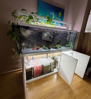 Acuario 510L con Sump