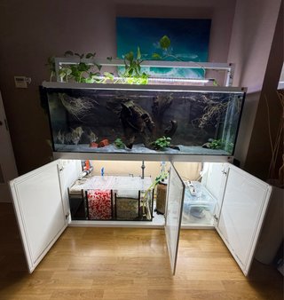 Acuario 510L con Sump