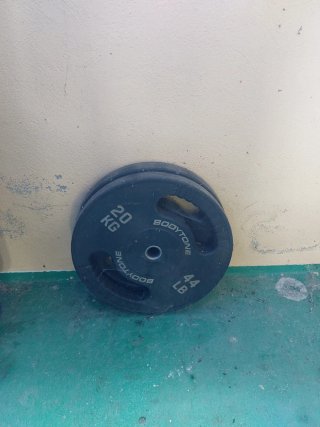 2 discos Bodytone 20 kg