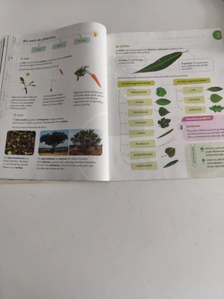 2 libros ,ciencias da Natureza 3°