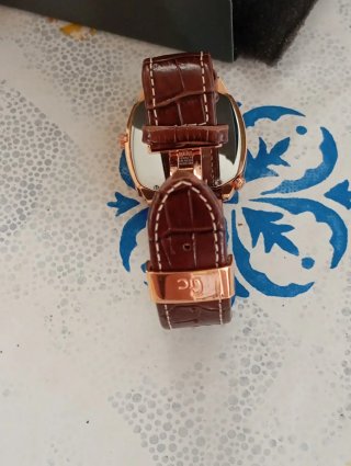 Reloj GC Cuarzo Marrón y Dorado