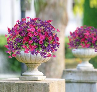 Ramos de Flores Artificiales Morado y Rosa