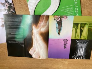 Deftones Vinilo Internacional Pop Rock