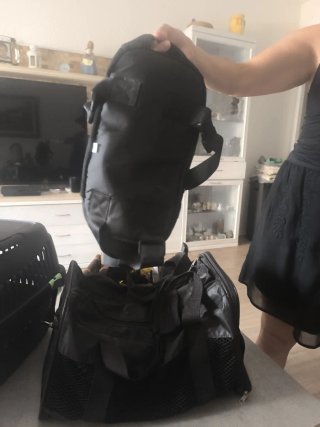 Pack de transportin perro pequeño