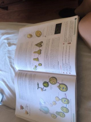 Biología, Geología y CC. Ambientales 1º Bachill...