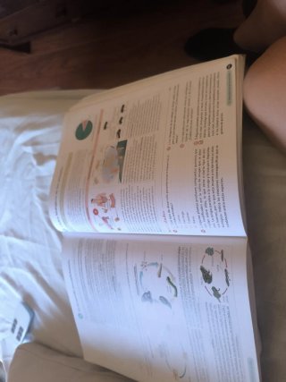 Biología, Geología y CC. Ambientales 1º Bachill...