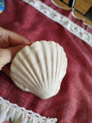Decorazioni, conchiglia con perla in ceramica