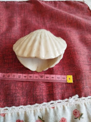 Decorazioni, conchiglia con perla in ceramica