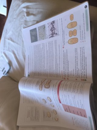 Biología, Geología y CC. Ambientales 1º Bachill...