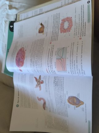 Biología, Geología y CC. Ambientales 1º Bachill...