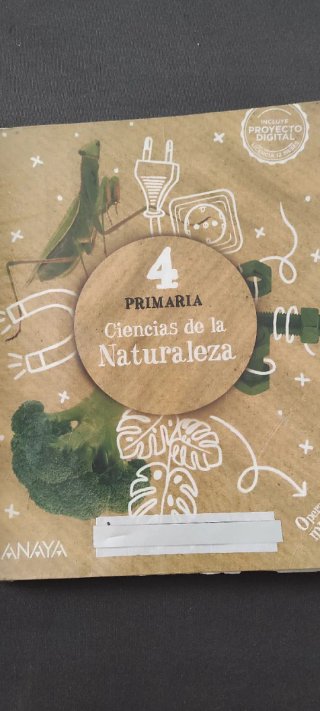 Libros 4 Primaria