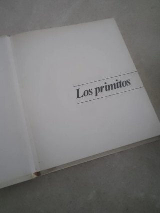 Colección Nuevo Auriga Núm 52 "Los primitos"