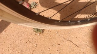 Bicicleta estilo vintage de paseo color crema con