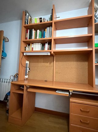 Dormitorio juvenil con 2 estanterías y cama nido