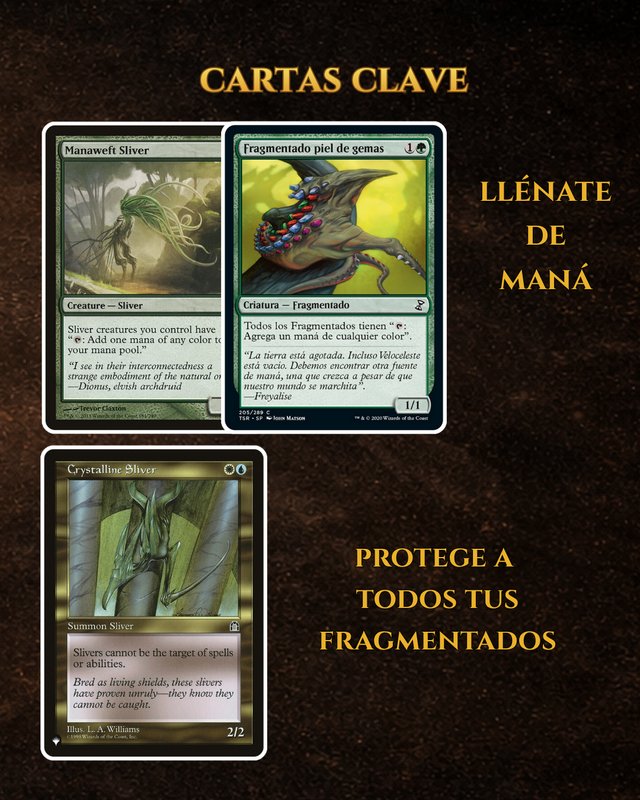 The First Sliver | Tribal Fragmentados | B3 EDH