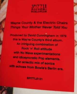 VINILO WAYNE COUNTY AND ELECTRIC CHAIRS