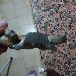 Lupa lupa capitolina bronzo