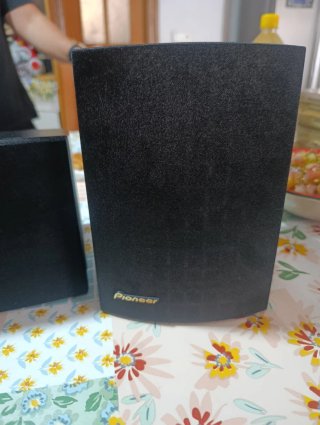 Altavoces Pioneer Negros S-CR39