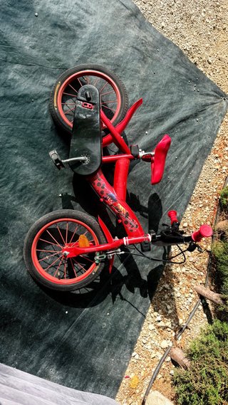Bicicleta infantil 3-5 años con ruedines