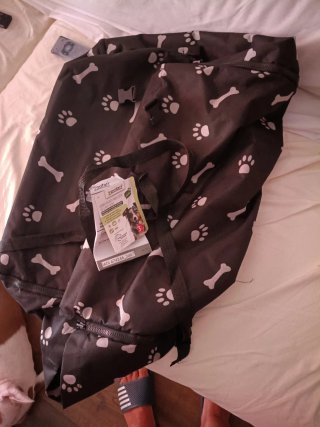 Transportín para coche de perro