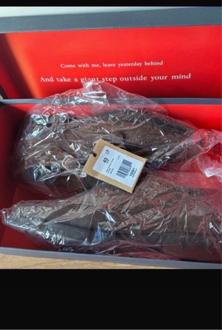 Zapatos Scalpers ante marrones